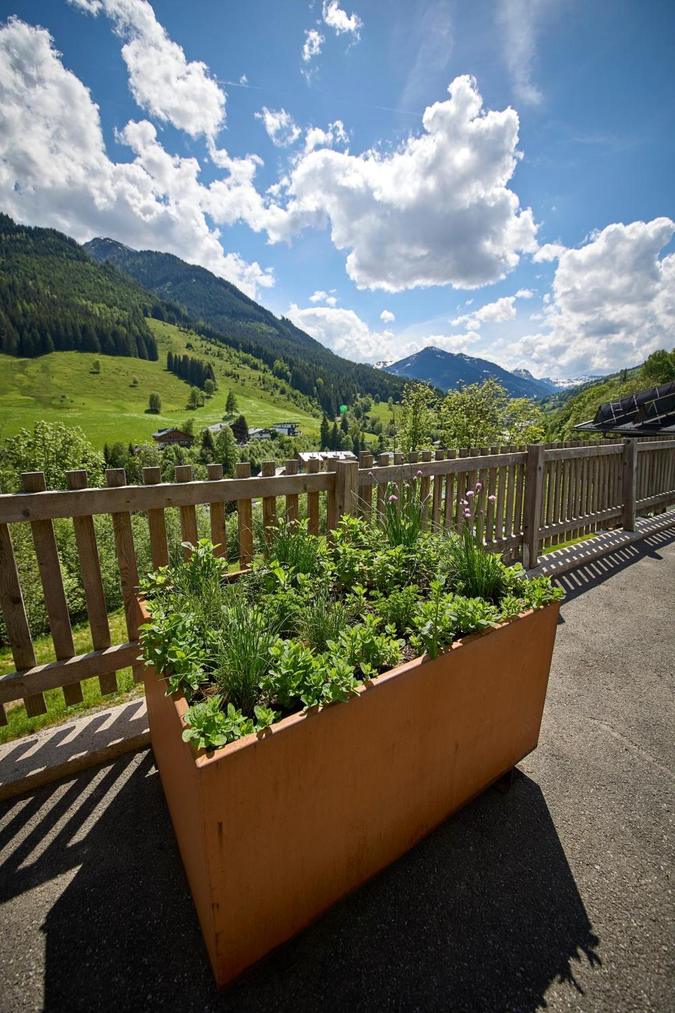 Drei Hittn Saalbach Apartment Ngoại thất bức ảnh